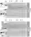 Fig. 80 - Memory die containing stress reducing backside contact via structures and method of making the same