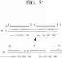Fig. 06 - Display module and method of manufacturing the same