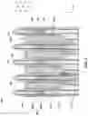 Fig. 04 - Methods of forming a semiconductor device