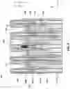 Fig. 06 - Methods of forming a semiconductor device