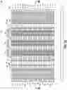 Fig. 26 - Methods used in forming an array of elevationally-extending transistors