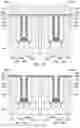 Fig. 07 - Gate structure and method of fabricating the same