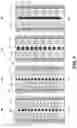 Fig. 07 - Solar cells having hybrid architectures including differentiated p-type and n-type regions with offset contacts