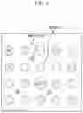 Fig. 05 - Organic light emitting diode