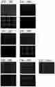 Fig. 20 - Light-emitting device and method for manufacturing light-emitting device