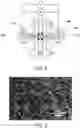 Fig. 04 - LDH separator and zinc secondary cell