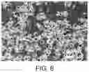 Fig. 05 - LDH separator and zinc secondary cell