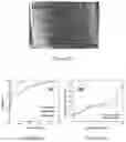 Fig. 07 - Battery cathodes for improved stability