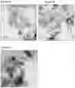 Fig. 03 - Catalyst
