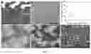 Fig. 06 - Lithium battery