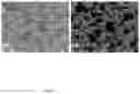Fig. 09 - Lithium battery