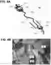 Fig. 04 - Self-aligning and self-assembling connectors