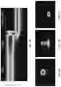 Fig. 09 - Quantum cascade laser with monolithically integrated passive waveguide