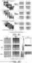 Fig. 06 - Silicon photovoltaic cell scanning eddy current thermography detection platform and defect classification method