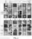 Fig. 07 - Silicon photovoltaic cell scanning eddy current thermography detection platform and defect classification method