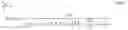 Fig. 02 - Trans-impedance amplifier transfer function compensation