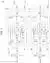 Fig. 02 - Output circuit, circuit device, oscillator, electronic apparatus, and vehicle