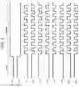 Fig. 03 - Output circuit, circuit device, oscillator, electronic apparatus, and vehicle