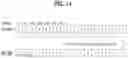 Fig. 13 - Method and apparatus for transmitting receipt acknowledgement in wireless communication system