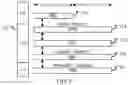 Fig. 04 - Method and device in UE and base station for wireless communication