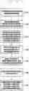 Fig. 05 - Method and apparatus for controlling partial frequency band in wireless communication system
