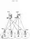 Fig. 09 - Method and apparatus for controlling partial frequency band in wireless communication system
