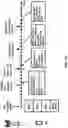 Fig. 24 - Cross-carrier scheduling activation for a dormant cell