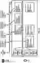 Fig. 38 - Cross-carrier scheduling activation for a dormant cell