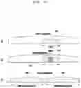 Fig. 20 - Method and apparatus for applying uplink 7.5 kHz frequency shifting when LTE cell and NR cell coexist in TDD band in next generation mobile communication system