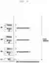 Fig. 26 - Method and apparatus for applying uplink 7.5 kHz frequency shifting when LTE cell and NR cell coexist in TDD band in next generation mobile communication system