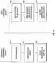 Fig. 15 - System with a plurality of lower tiers of information coupled to a top tier of information