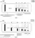 Fig. 01 - Communication system, available-bandwidth estimation method, and recording medium