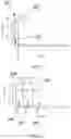 Fig. 04 - Managing bandwidth based on user behavior