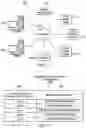 Fig. 02 - Bioelectrical authentication
