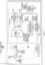Fig. 04 - Bioelectrical authentication
