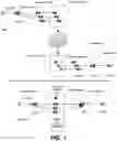 Fig. 02 - Method for transparent zero-copy distribution of data to DDS applications