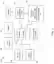 Fig. 02 - ACTION IN RESPONSE TO USER DEVICE SIGNATURE