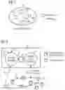 Fig. 02 - METHOD FOR OPERATING A NETWORK-AWARE CONTAINER ORCHESTRATION SYSTEM