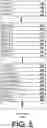 Fig. 06 - Issue resolution script generation and usage