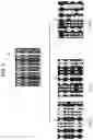 Fig. 09 - Projection image adjustment system and projection image adjustment method