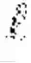 Fig. 02 - Adaptive pixel sampling order for temporally dense rendering