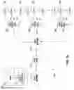 Fig. 04 - Apparatus and methods for presentation of key frames in encrypted content