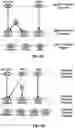 Fig. 06 - Uplink beam management in wireless communication system