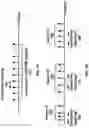 Fig. 08 - Uplink beam management in wireless communication system