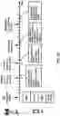 Fig. 24 - Uplink beam management in wireless communication system