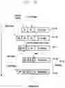 Fig. 28 - Method and apparatus for processing PDCP control data in system supporting high-reliability low-latency service
