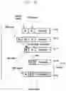 Fig. 32 - Method and apparatus for processing PDCP control data in system supporting high-reliability low-latency service