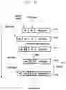 Fig. 37 - Method and apparatus for processing PDCP control data in system supporting high-reliability low-latency service