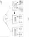 Fig. 02 - Method and system for steering bidirectional network traffic to a same service device