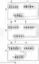 Fig. 08 - Method and apparatus for handover without interruption of transmission and reception of data in next-generation mobile communication system